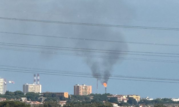 APRES ESSO, MAINTENANT C’EST NAPHTACHIMIE